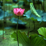 Untitled-13