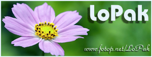http://images3.fotop.net/albums3/LoPak/Just_feeling______P__/Banner_3_Sized_300_x_112.jpg