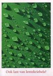 heineken_boomerang_01