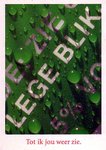 heineken_boomerang_20