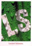 heineken_boomerang_21