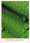 heineken_boomerang_30
