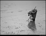 Fisherman at Work 2