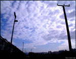 The Cloud
