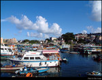 Harbour View 1
