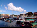 Harbour View 2