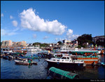 Harbour View 3