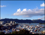 Harbour View