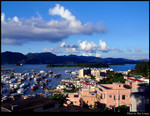 The Harbour View