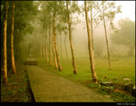 Alone