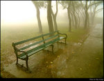 Empty Chair