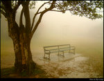 Empty