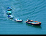 A Bunch of Boat