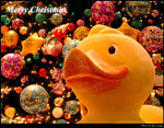 0 Xmas n