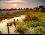 Grassland at Sunset
