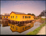 Yellow Hut