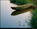 Tranquility