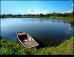 The Lake