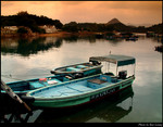 5 Boat n