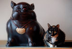 
�ڦ�������猪�O