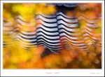 _MG_5267 e