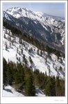 _MG_7990 e