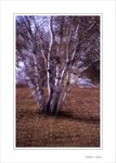 Frame_scan 738