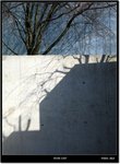 IMG_0100