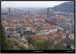 _MG_0378 e