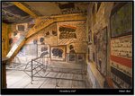 _MG_0525 e