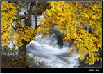 _MG_4241 e