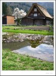 IMG_7989