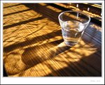 IMG_7886