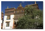 Frame_IMG_8281 e