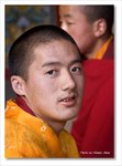 

The Living Buddhas

Frame_IMG_8287 e