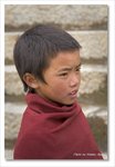 Young Lama
Frame_IMG_8591 e