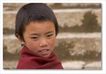 Young Lama
Frame_IMG_8592 e