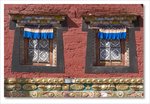Frame_IMG_8655 e