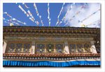 Frame_IMG_8659 e