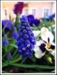 IMG_0281
