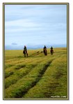Frame_IMG_7496 eweb