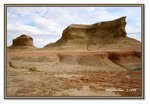 Frame_IMG_7022 eweb