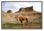 Frame_IMG_7043 eweb