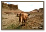 Frame_IMG_7046 eweb