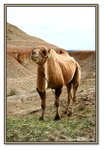 Frame_IMG_7050 eweb