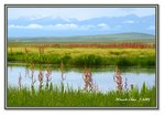 Frame_IMG_7453 eweb