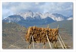 Frame_IMG_7975 e2