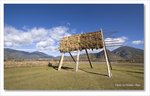 Frame_IMG_7981 e