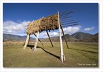 Frame_IMG_7982 e