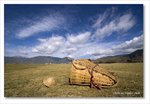 Frame_IMG_7988 e